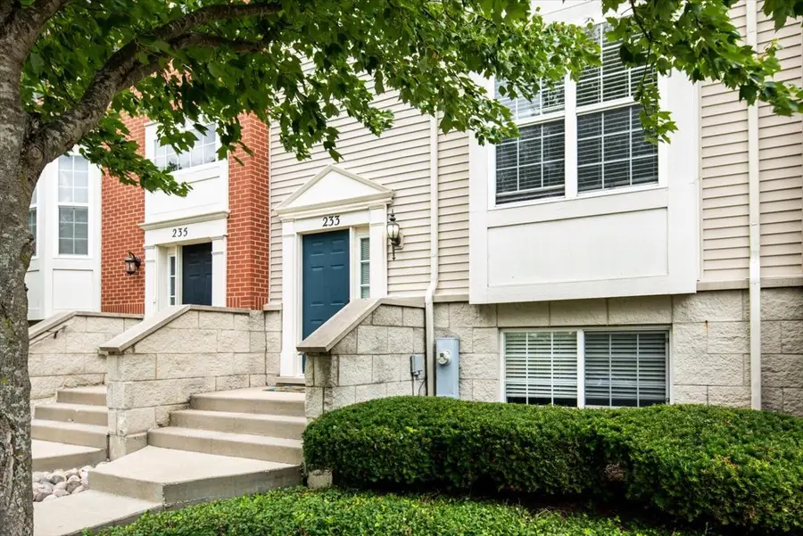 233 Jackson Street, Gilberts, IL 60136 - Image #2