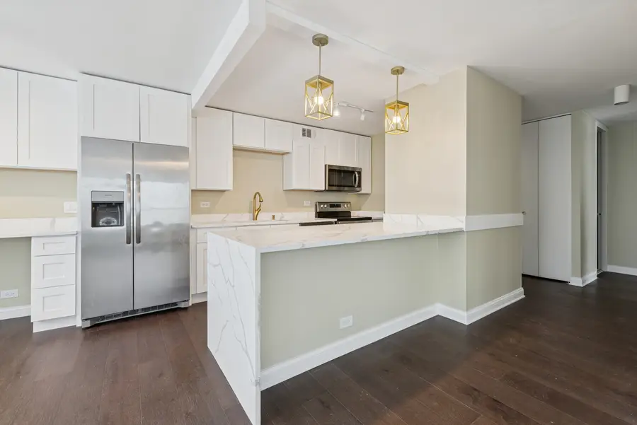 655 W Irving Park Road #5202, Chicago, IL 60613 - Image #2