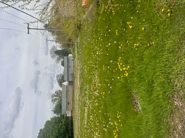 1013 Hoyne Street, Streator, IL 61364 - Image #3