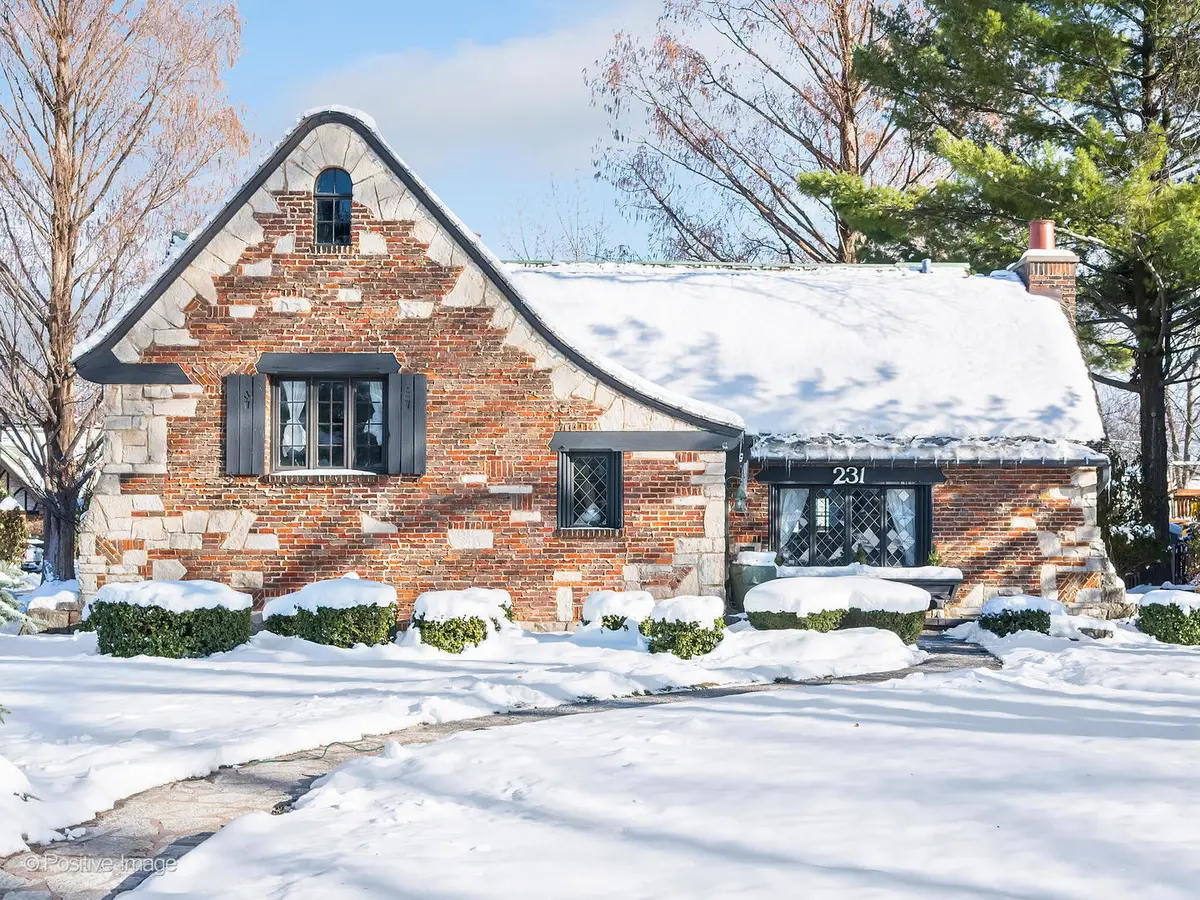 231 S Arlington Avenue, Elmhurst, IL 60126 - Image #1