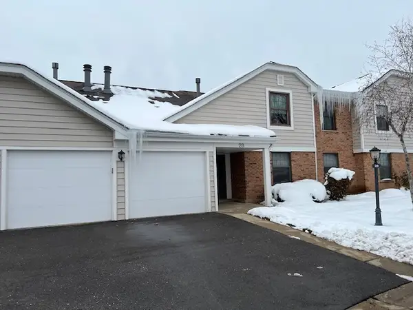 28 Regent Circle #B2, Schaumburg, IL 60193