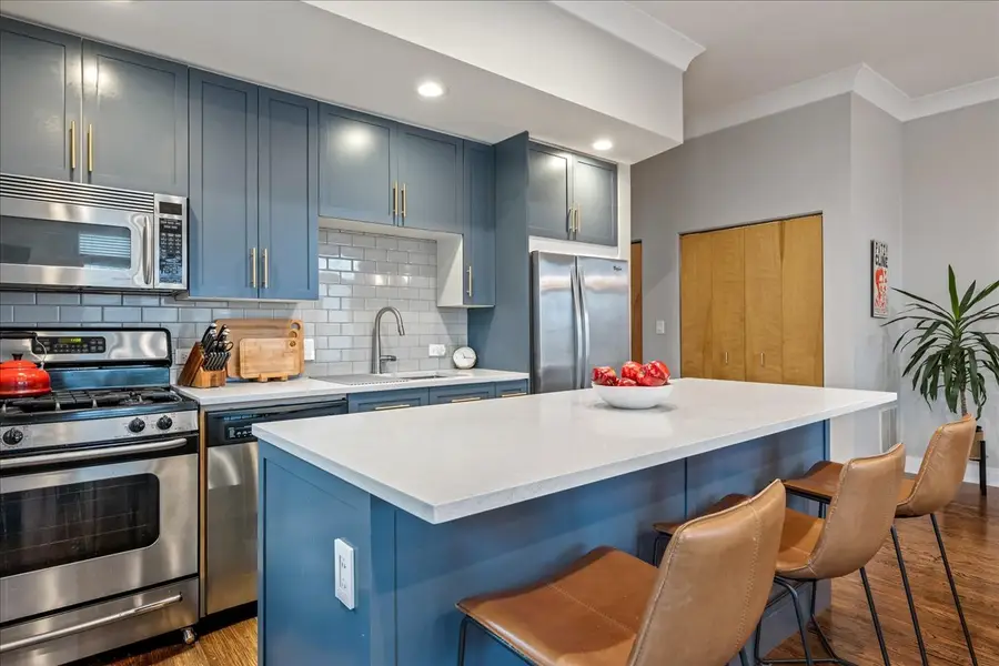 1617 N Oakley Avenue #E, Chicago, IL 60647 - Image #3