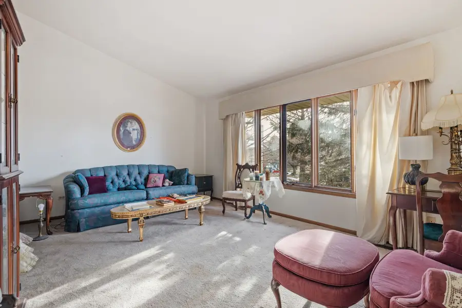 17551 Drummond Drive #17551, Tinley Park, IL 60487 - Image #2