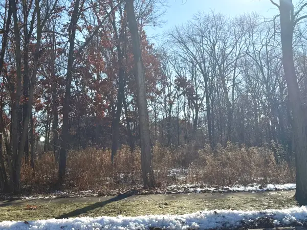 734 W Feather Sound Drive, Bolingbrook, IL 60440