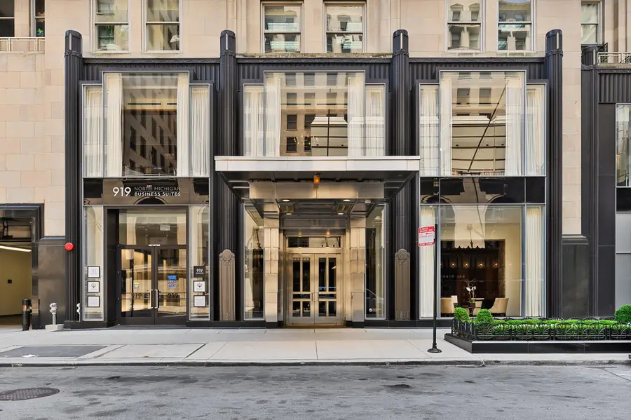 159 E Walton Place #13D, Chicago, IL 60611 - Image #2