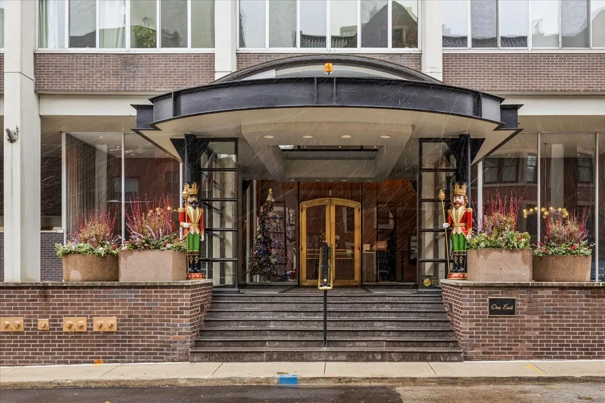 1 E Schiller Street #22A, Chicago, IL 60610 - Image #1