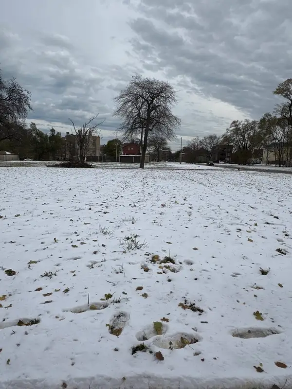 6456 S Eggleston Avenue, Chicago, IL 60621