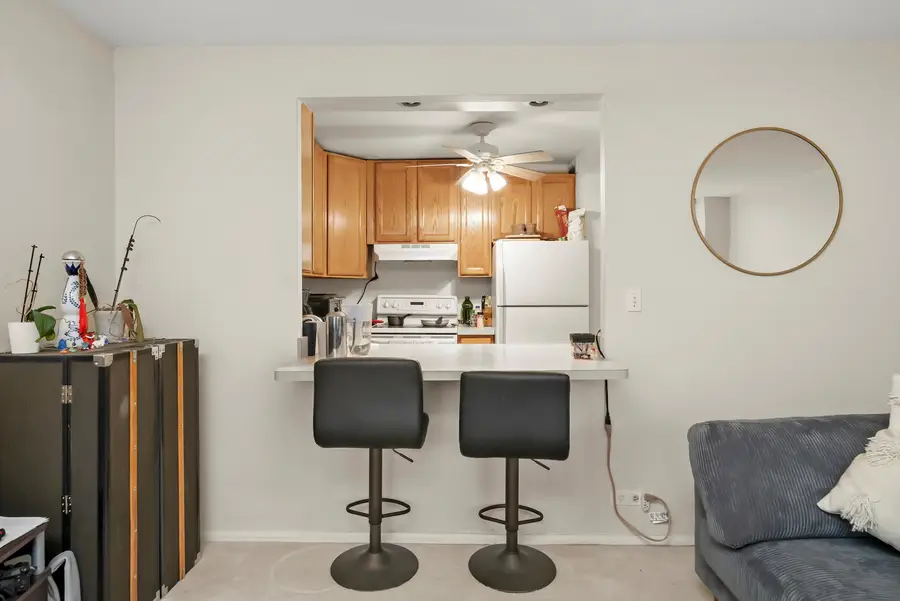 1460 N Sandburg Terrace #705, Chicago, IL 60610 - Image #2