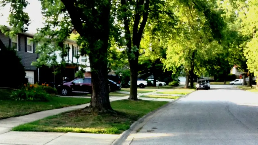 Address Withheld By Seller, Glenwood, IL 60425 - Image #3