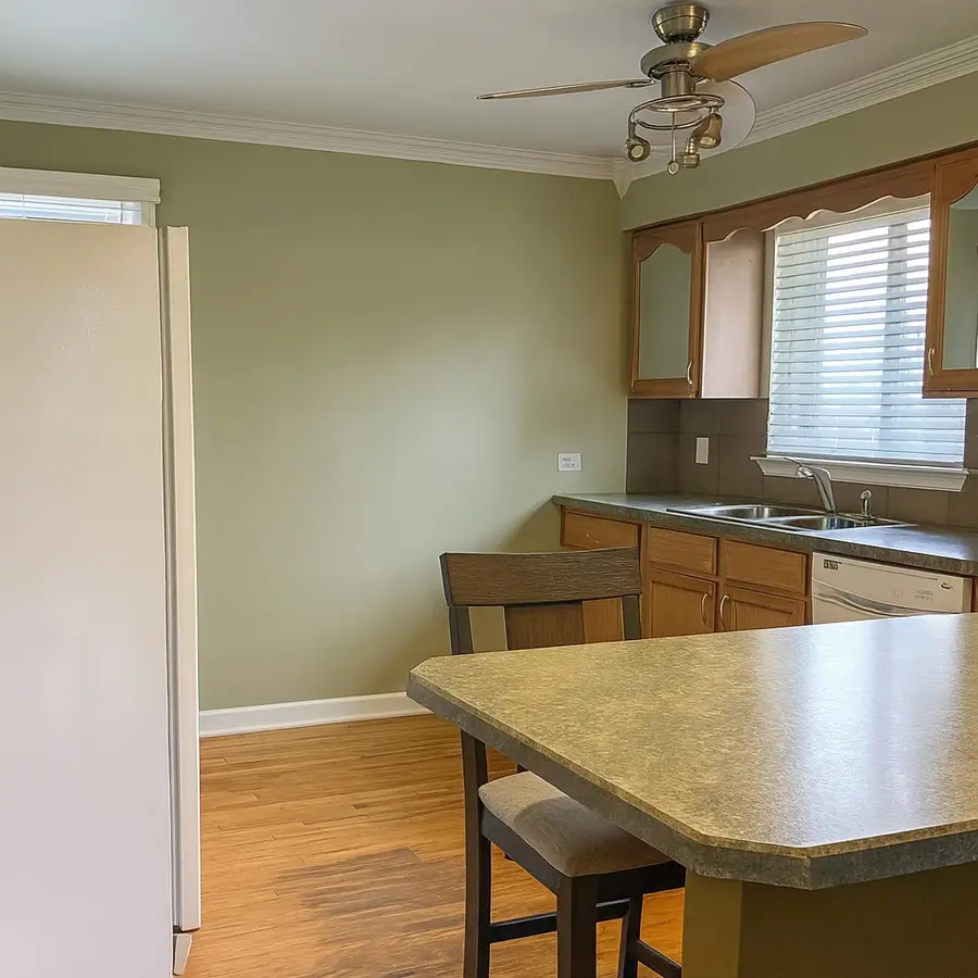 439 N Elm Street, Hillside, IL 60162 - Image #3