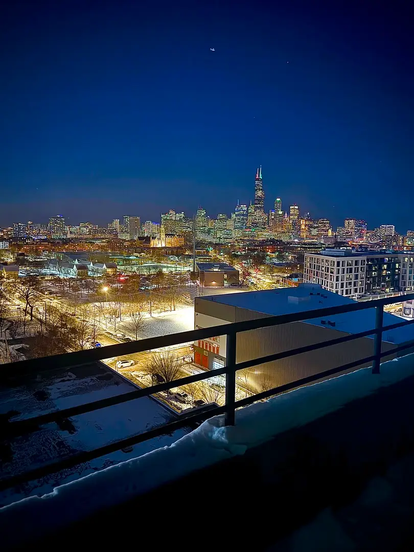 1550 S Blue Island Avenue #1107, Chicago, IL 60608 - Image #3