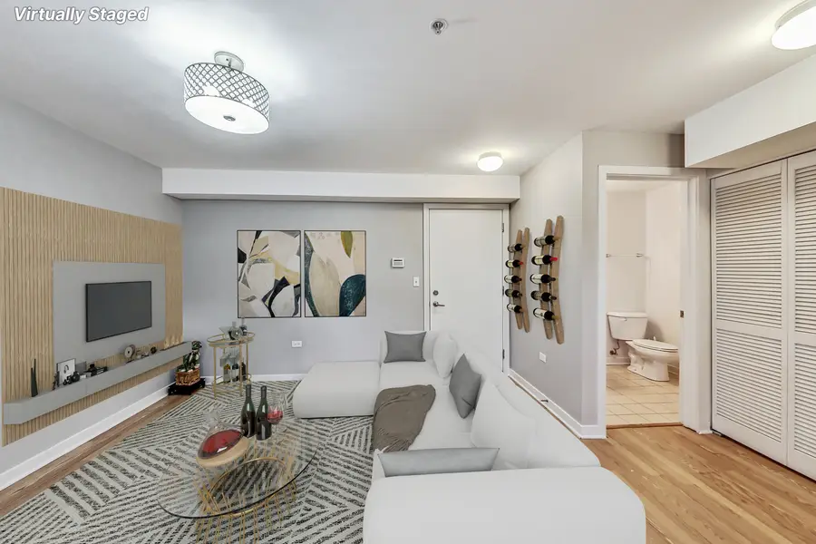 45 E 23rd Street, Chicago, IL 60616 - Image #2