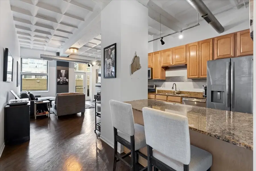 1307 S Wabash Avenue #303, Chicago, IL 60605 - Image #3