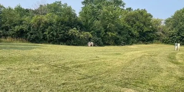 226 Bluff Court, Grayslake, IL 60030