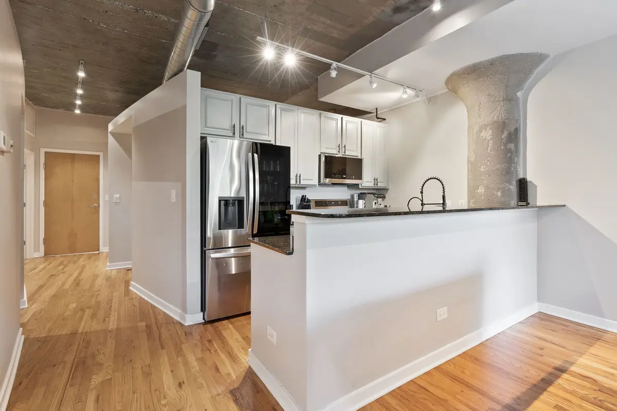 1069 W 14th Place #225, Chicago, IL 60608 - Image #1