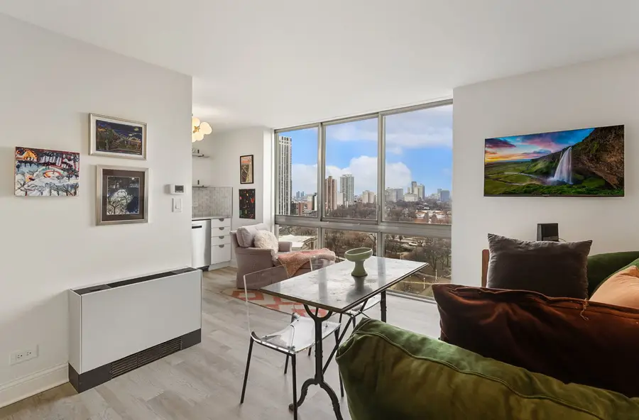 1555 N Dearborn Parkway #17C, Chicago, IL 60610 - Image #3