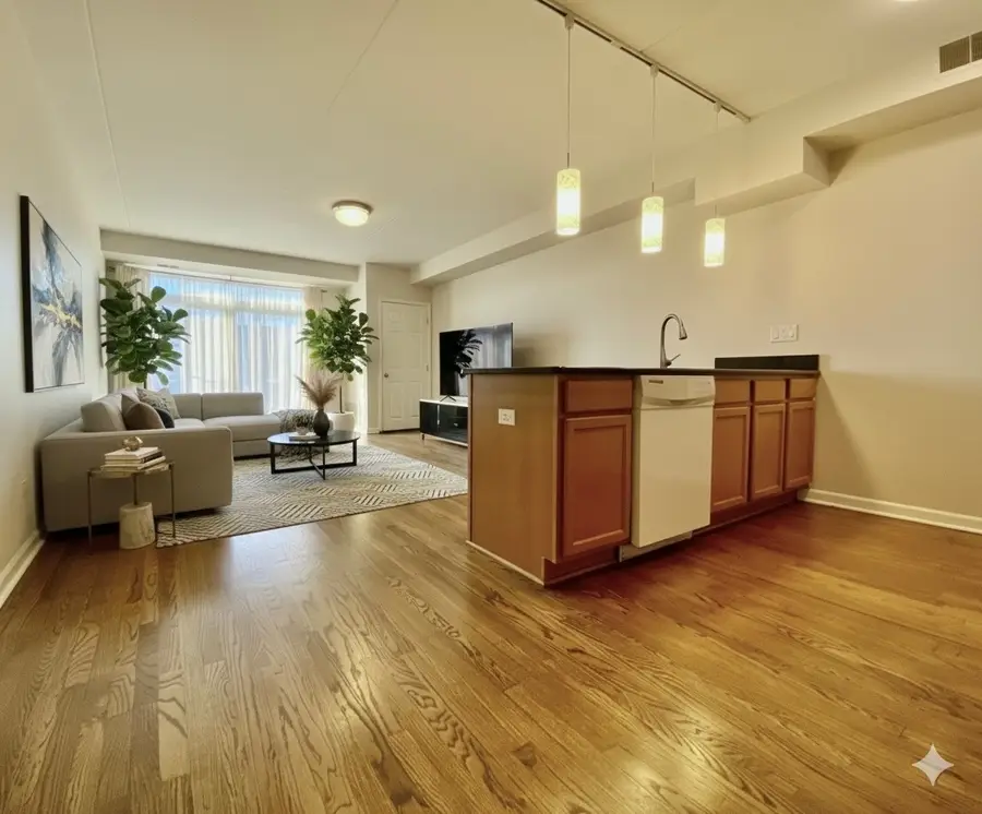 3000 S Wentworth Avenue #4B, Chicago, IL 60616 - Image #3