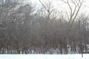 930 N N Fairfield Road, Round Lake Beach, IL 60073