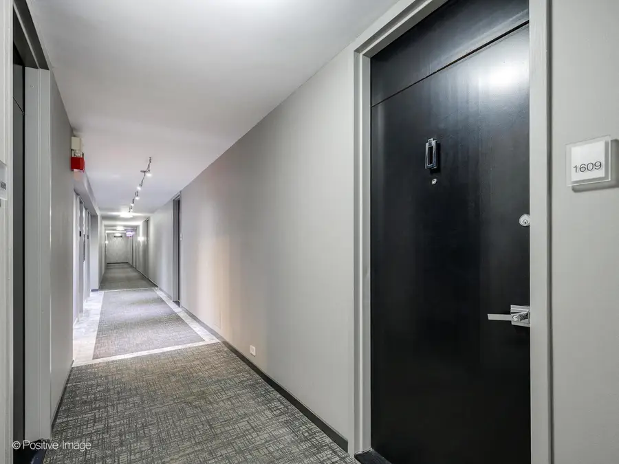 1560 N Sandburg Terrace #1609J, Chicago, IL 60610 - Image #2