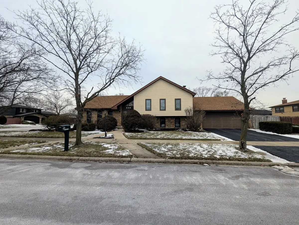339 S Dorchester Avenue, Glenwood, IL 60425 - Image #1