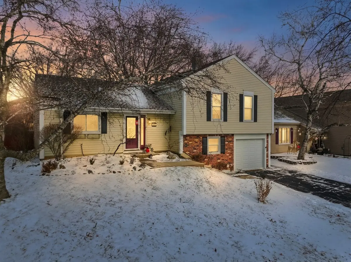 113 Wallace Street, Bartlett, IL 60103 - Image #1