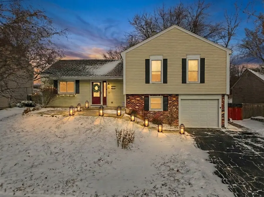 113 Wallace Street, Bartlett, IL 60103 - Image #3