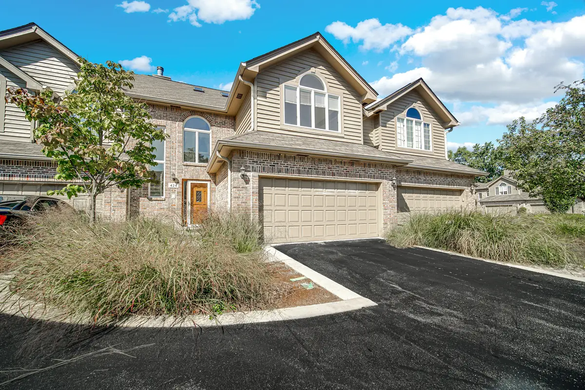 424 Ashbury Drive, Hinsdale, IL 60521 - Image #1