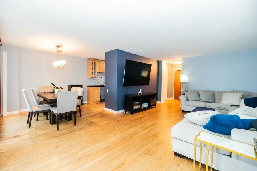 4170 N Marine Drive #10D, Chicago, IL 60613 - Image #3