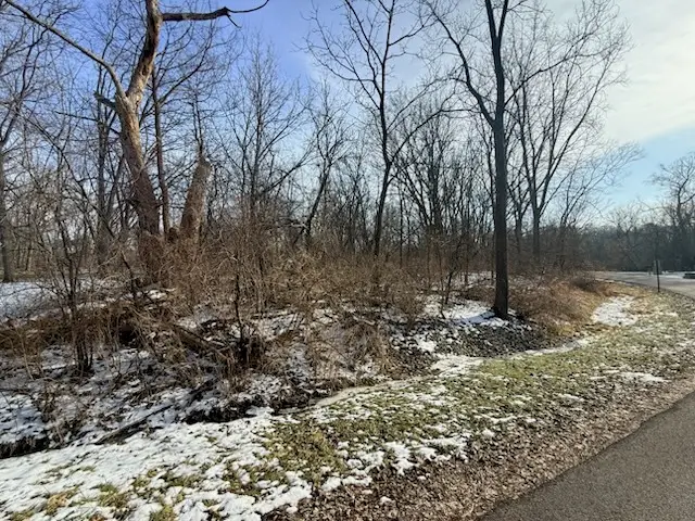 4802 Brorson Lane, Johnsburg, IL 60051 - Image #2