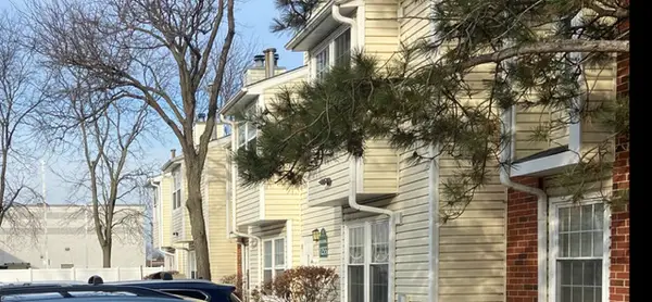 1255 Wyndham Drive #201, Palatine, IL 60074