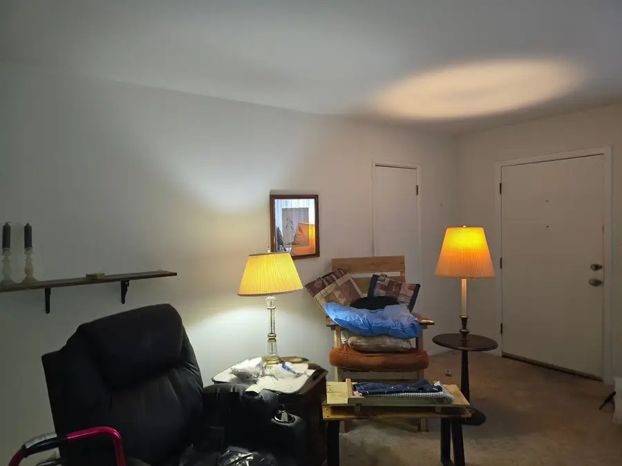 547 Homan Avenue, Park Forest, IL 60466 - Image #3