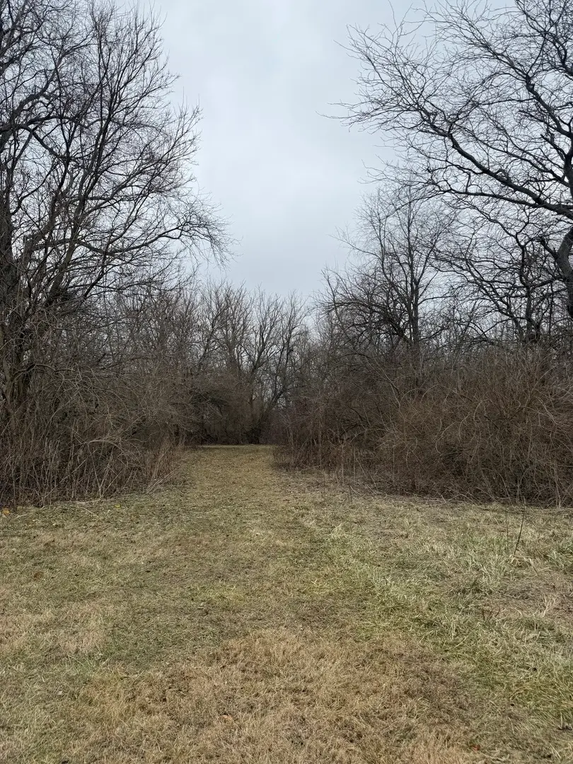 Lots 2, 3 and 4 Burr Oaks Lane, Downs, IL 61736 - Image #3