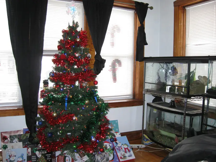 2553 W 45th Street, Chicago, IL 60632 - Image #2