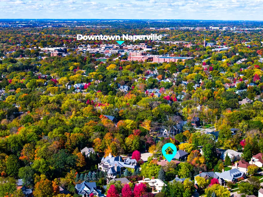 908 Julian Court, Naperville, IL 60540 - Image #3