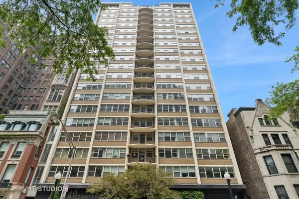 40 E Cedar Street #8CD, Chicago, IL 60611