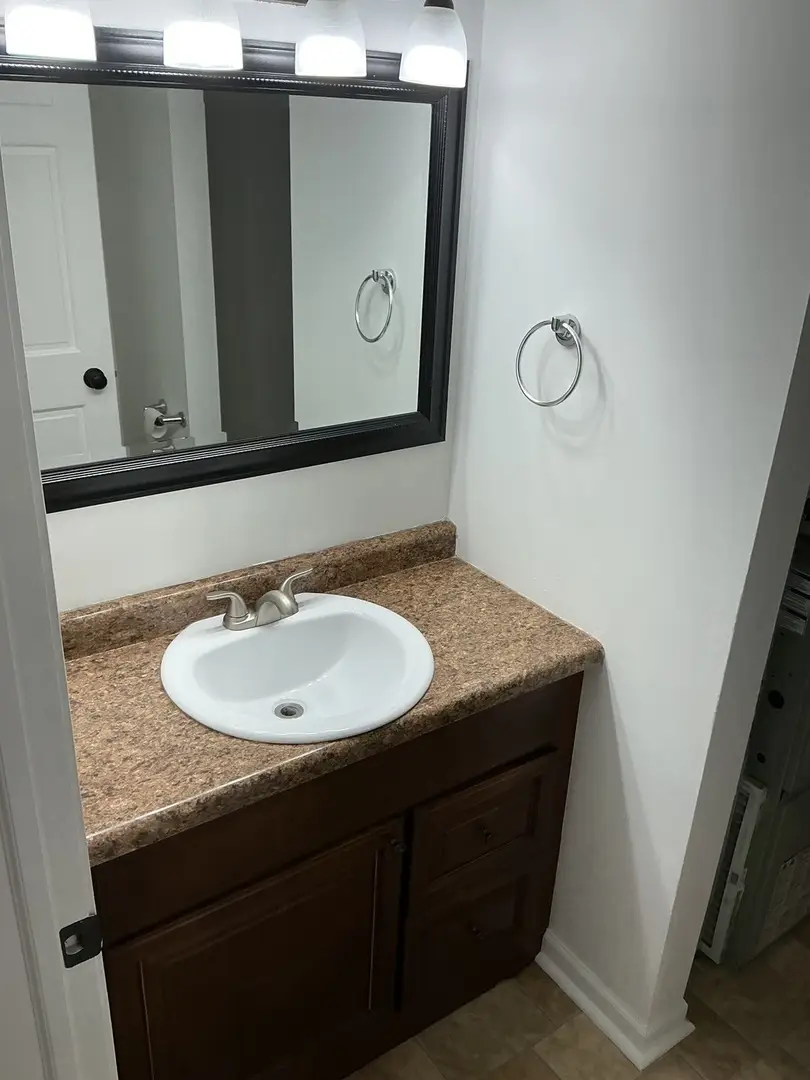 22451 Latonia Lane, Richton Park, IL 60471 - Image #3