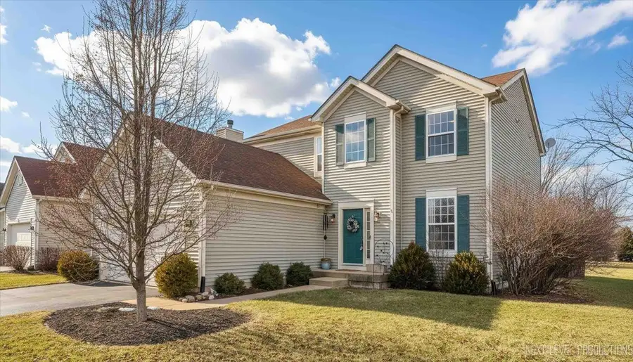 226 Woodland Park Circle, Gilberts, IL 60136 - Image #2