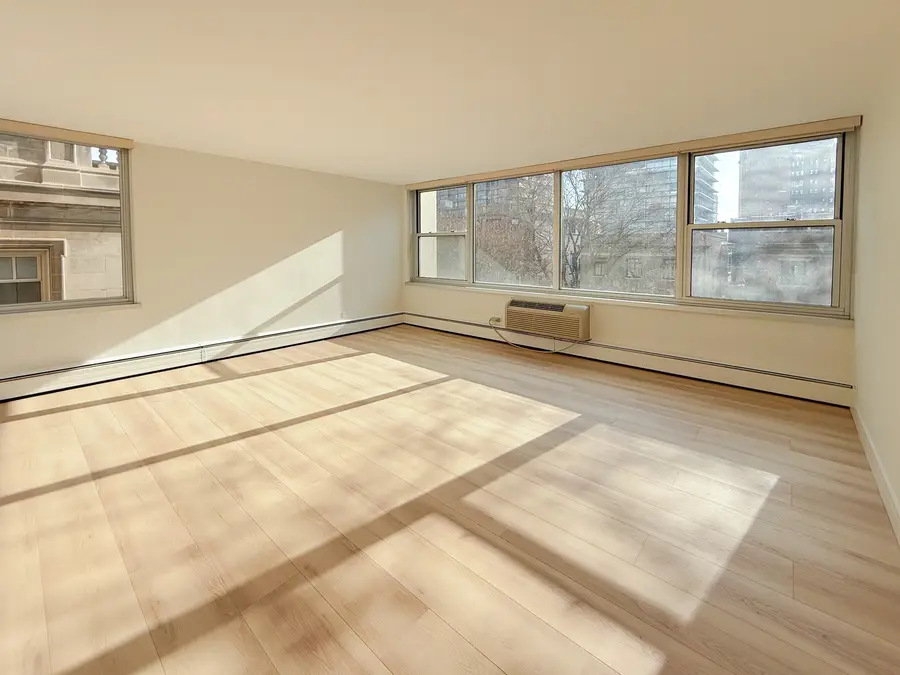 336 W Wellington Avenue #405, Chicago, IL 60657 - Image #2