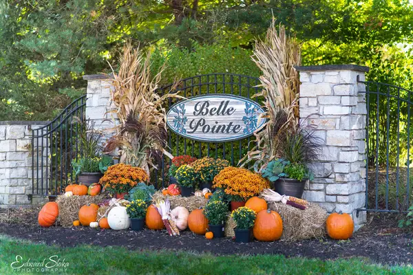 9604 Emily Lane, Union, IL 60180