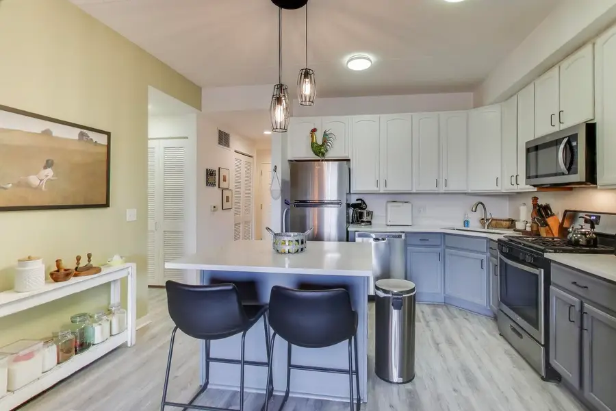 2335 W Belle Plaine Avenue #306, Chicago, IL 60618 - Image #3