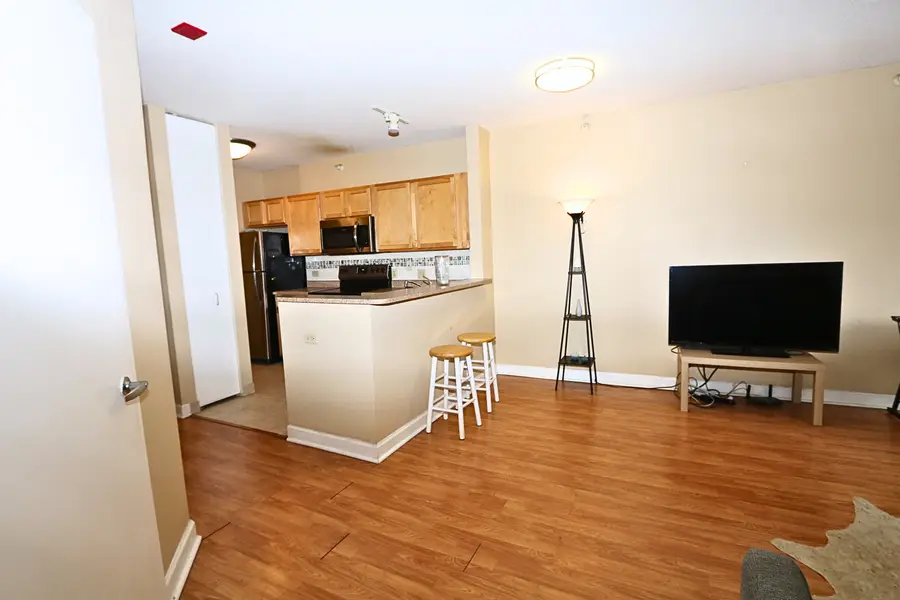 222 N Columbus Drive #1705, Chicago, IL 60601 - #3