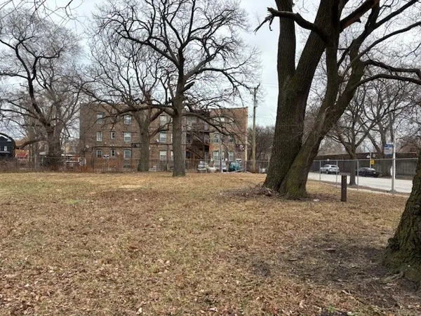 6659 S Greenwood Avenue, Chicago, IL 60637