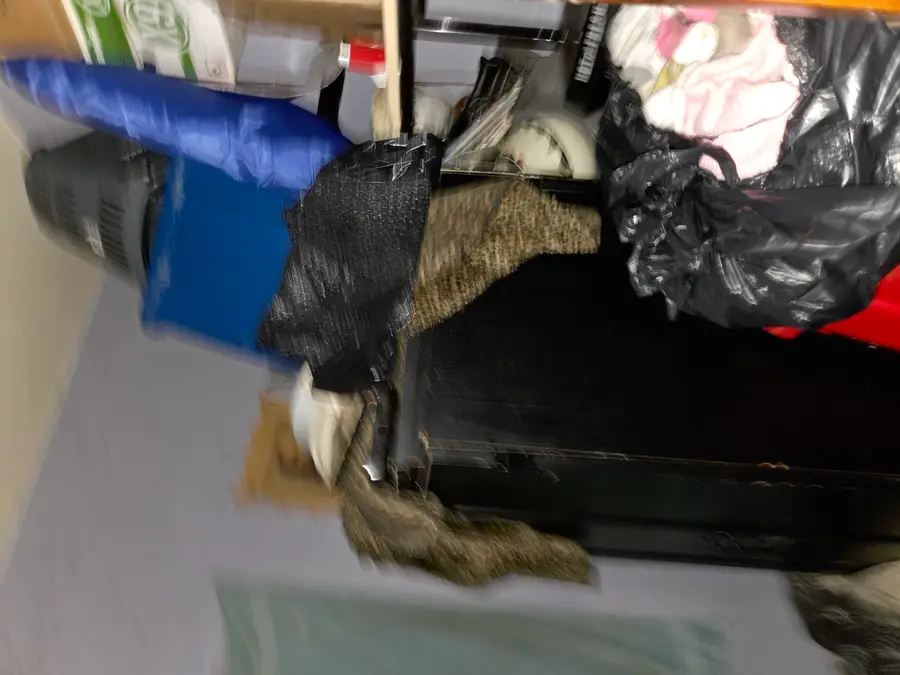 8414 S Buffalo Avenue, Chicago, IL 60617 - Image #2