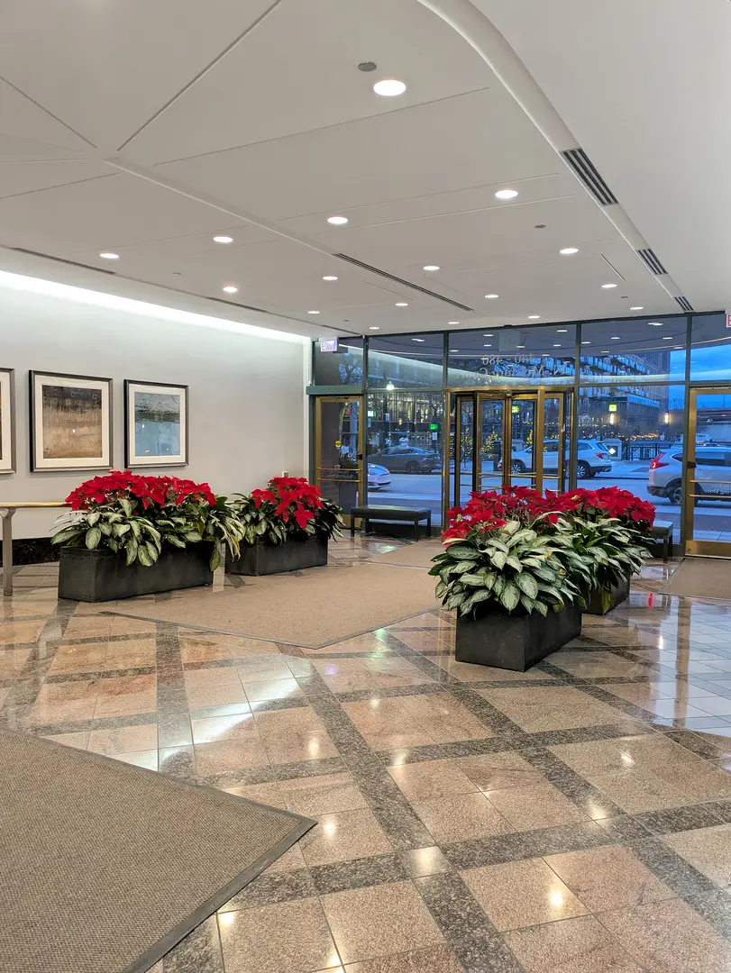 480 N Mcclurg Court #404N, Chicago, IL 60611 - Image #3