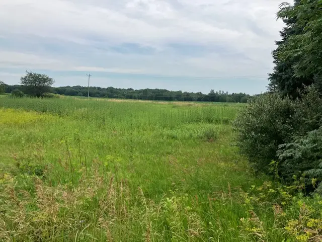 Lot 2 Timberline Drive, Granville, IL 61326 - Image #3