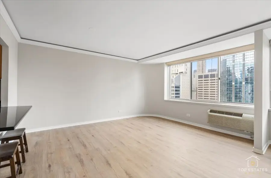 211 E Ohio Street #2806, Chicago, IL 60611 - Image #2