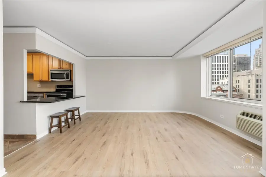 211 E Ohio Street #2806, Chicago, IL 60611 - Image #3