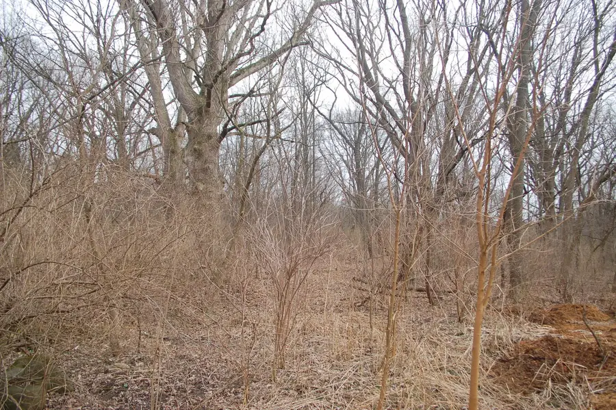 35W247 Fox River Drive, Saint Charles, IL 60174 - Image #3