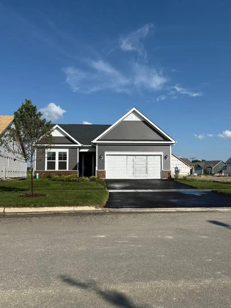 3126 Timberlake Avenue, New Lenox, IL 60451 - Image #1