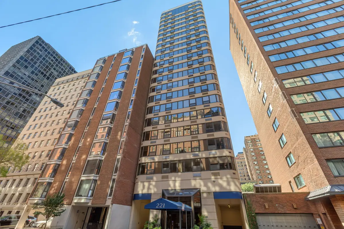 221 E Walton Place #19E, Chicago, IL 60611 - Image #1